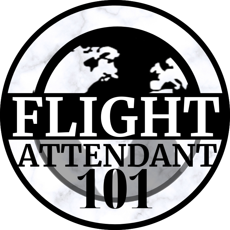 social-media-flight-attendant-101